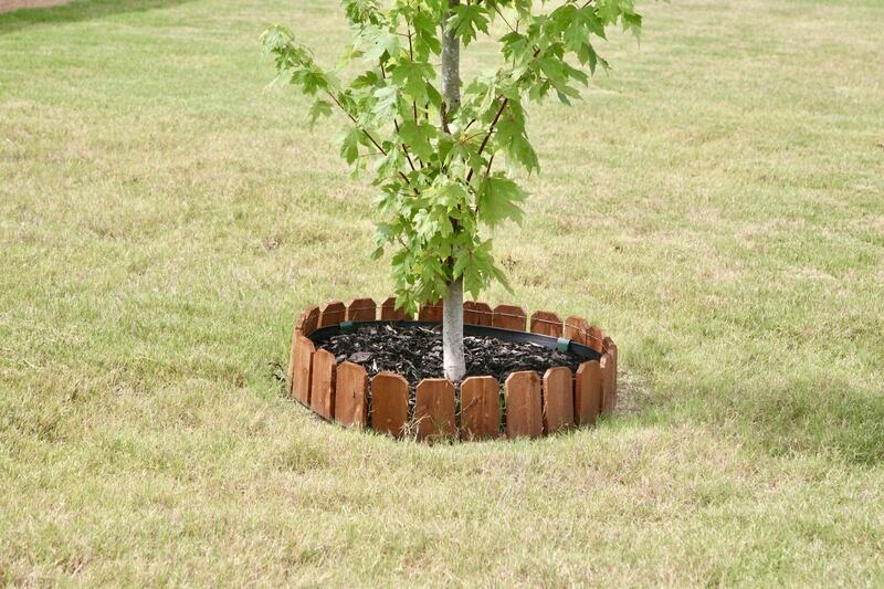 The Dos and Don'ts of Mulching Young Trees - Soil Kings - Landscaping Supplies Calgary