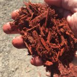 Red Mulch