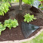 Early Mulching for Your Garden - Soil Kings - Landscape Supplies Calgary