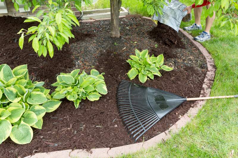Early Mulching for Your Garden - Soil Kings - Landscape Supplies Calgary