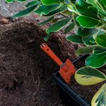 Aged Compost - Soil Kings - Bulk Landscape Supplies Calgary