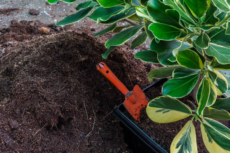 Aged Compost - Soil Kings - Bulk Landscape Supplies Calgary