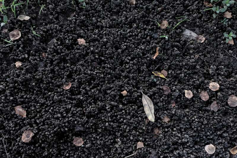 Worm Casting - Soil Kings - Bulk Landscape Supplies Calgary