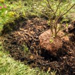 Why Get Soil, Mulch, or Aggregate? - Soil Kings - Soil Products in Calgary