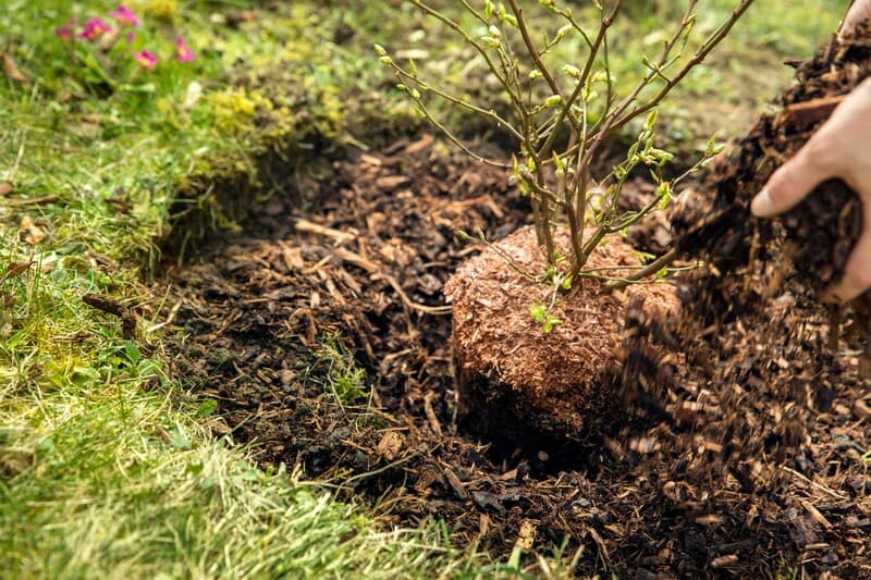Why Get Soil, Mulch, or Aggregate? - Soil Kings - Soil Products in Calgary