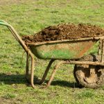Why You Should Avoid Most Animal-Based Composts - Soil Kings - QUALITY BULK LANDSCAPE SUPPLIES