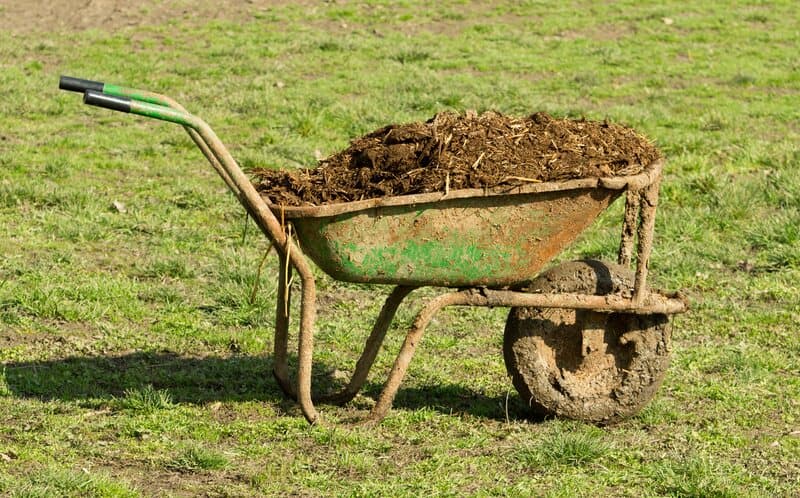Why You Should Avoid Most Animal-Based Composts - Soil Kings - QUALITY BULK LANDSCAPE SUPPLIES