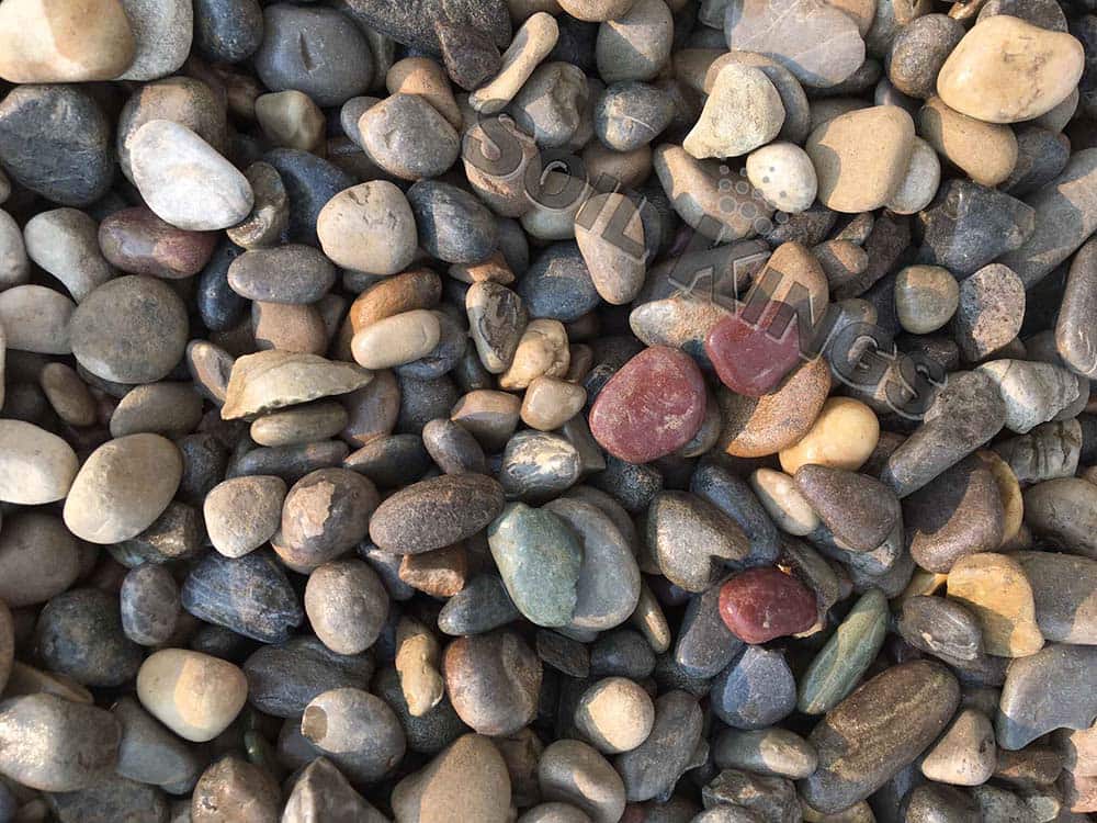 20mm Alberta Rainbow Rock