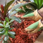 Why Should You Mulch? - Soil Kings - QUALITY BULK LANDSCAPE SUPPLIES