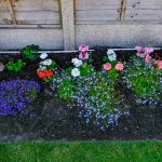 Screened Loam or Garden Mix? - Soil Kings - QUALITY BULK LANDSCAPE SUPPLIES