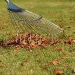 How to Prepare Your Lawn and Garden for Winter - Soil Kings - Landscape Products Calgary
