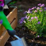 Landscaping Considerations for Next Spring - Soil Kings - Bulk Landscaping Supplies Calgary