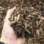 Benefits of Mulch Over the Winter - Soil Kings - Landscape Supplies Calgary