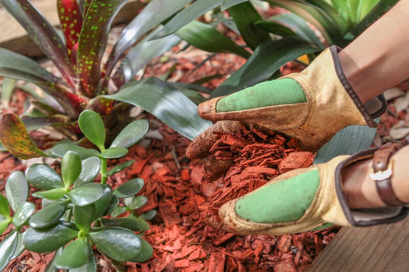 Mulching Your Landscape for Summer — What, Why, Where, When - Soil Kings - Bulk Landscape Supplies Calgary