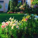 Choosing the Right Landscape Supplier - Soil Kings - Bulk Landscape Supplies Calgary
