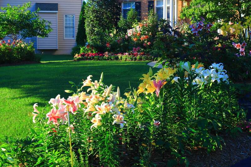 Choosing the Right Landscape Supplier - Soil Kings - Bulk Landscape Supplies Calgary