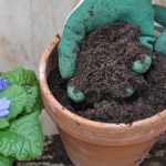 Why Our Soil Is the Tightest Screened - Soil Kings - Bulk Landscape Supplies Calgary