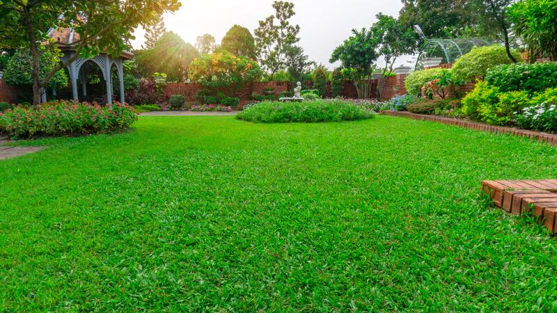 Benefits of Topdressing Your Lawn - Soil Kings - Bulk Landscape Supply Calgary