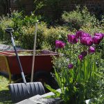 Bring in a Landscaping Company for Your Yard - Soil Kings - Bulk Landscaping Supplies - Featured Image