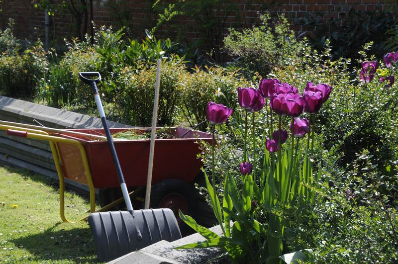 Bring in a Landscaping Company for Your Yard - Soil Kings - Bulk Landscaping Supplies - Featured Image
