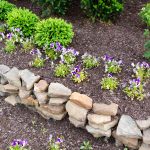 Autumn Landscaping Checklist - Soil Kings - Bulk Landscaping Supplies - Featured Image