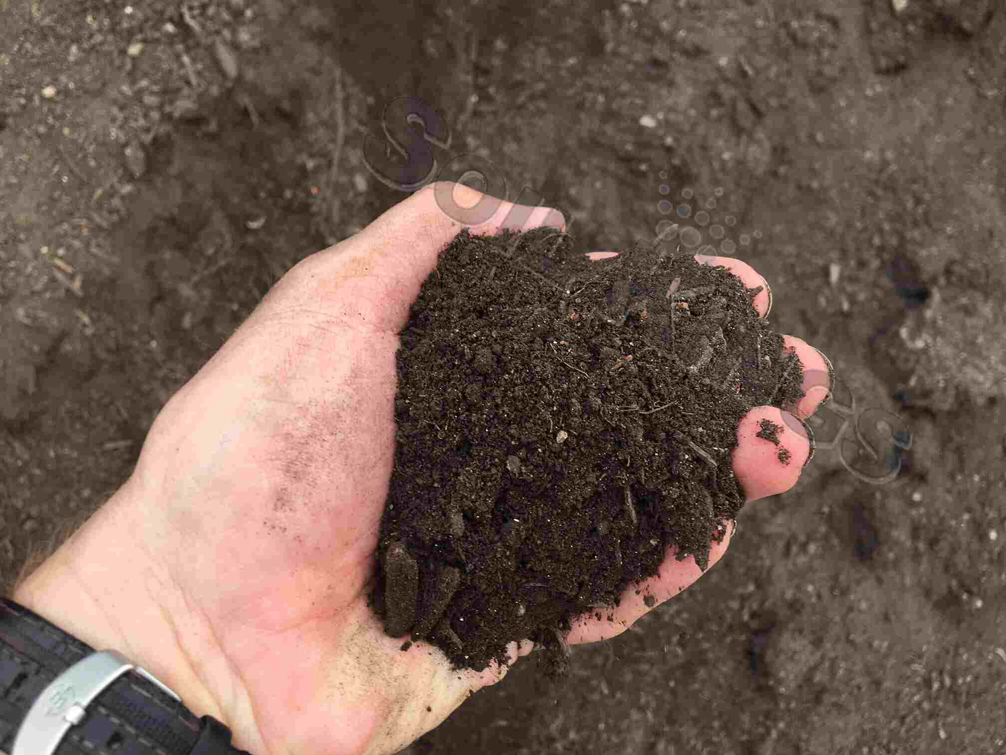 Why Picking Up from Soil Kings Is So Easy - Soil Kings - Bulk Landscaping Supplies - Featured Image