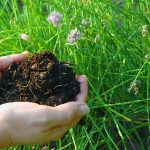Naturally Beautiful Mulches - Soil Kings - Bulk Landscape Supplies Calgary - Featured Image