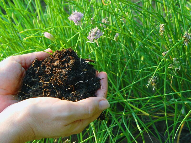 Naturally Beautiful Mulches - Soil Kings - Bulk Landscape Supplies Calgary - Featured Image