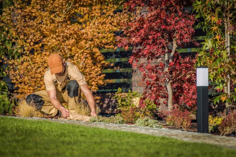 Protecting Your Landscaping Before Winter Hits - Soil Kings - Bulk Landscape Supplies Calgary - Featured Image