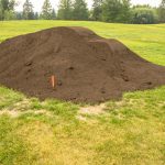 Have You Started Top Dressing Your Lawn? - Soil Kings - Bulk Landscaping Supplies - Featured Image