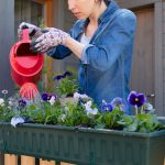 Keeping Your Garden Healthy During the Summer - Soil Kings - Bulk Landscaping Supplies Calgary - Featured Image