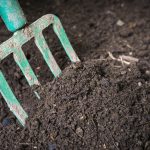 What Constitutes Good Soil? - Soil Kings - Bulk Landscaping Supplies - Featured Image