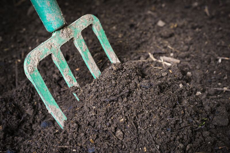 What Constitutes Good Soil? - Soil Kings - Bulk Landscaping Supplies - Featured Image