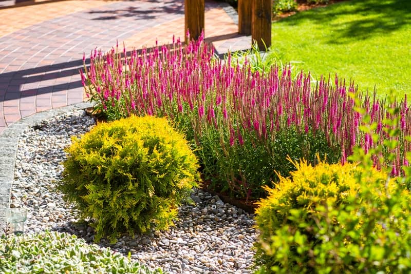 Mulch vs. Decorative Rock for Landscaping Design - Soil Kings - Bulk Landscaping Supplies - Featured Image