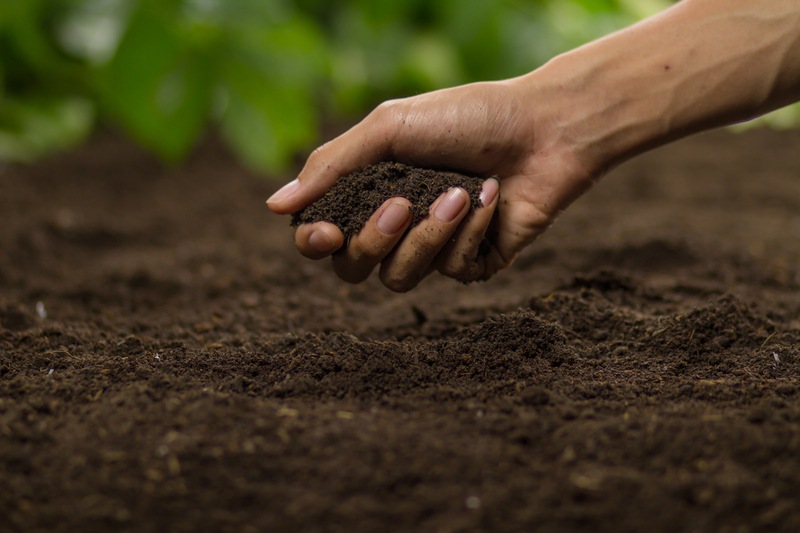 When to Use Garden Mix vs. Compost - Soil Kings - Bulk Landscaping Supplies - Featured Image