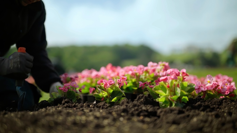 Fall Landscaping Chores to Remember this Fall - Soil Kings - Bulk Landscaping Supplies - Featured Image