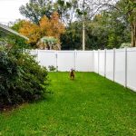 Setting Up a Good Dog Run — What Aggregates to Use and Why - Soil Kings - Landscaping Supplies Calgary - Featured Image