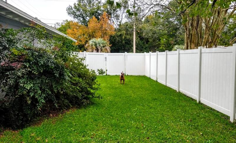Setting Up a Good Dog Run — What Aggregates to Use and Why - Soil Kings - Landscaping Supplies Calgary - Featured Image