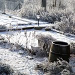 Make Sure Your Perennials Are Ready for Next Year - Soil Kings - Bulk Landscaping Supplies- Featured Image