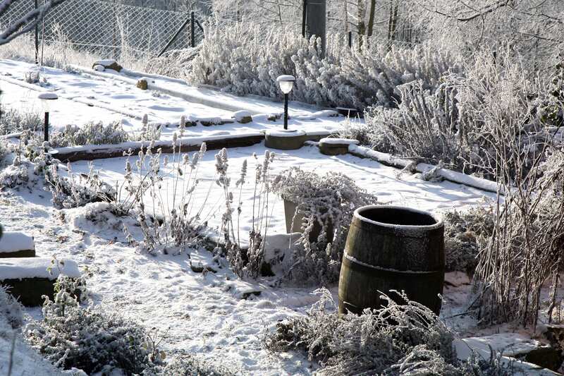 Make Sure Your Perennials Are Ready for Next Year - Soil Kings - Bulk Landscaping Supplies- Featured Image
