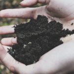 The Benefits of Worm Castings - Soil Kings - Landscaping Supplies - Featured Image