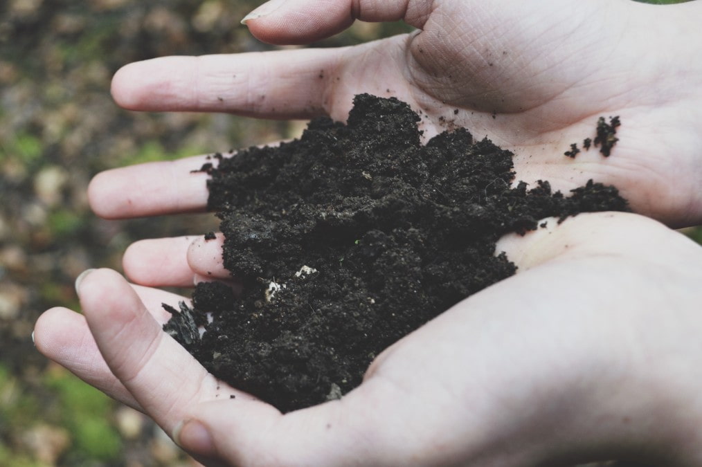 The Benefits of Worm Castings - Soil Kings - Landscaping Supplies - Featured Image