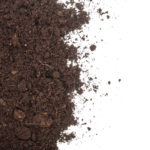 Difference Between Top Soil and Compost