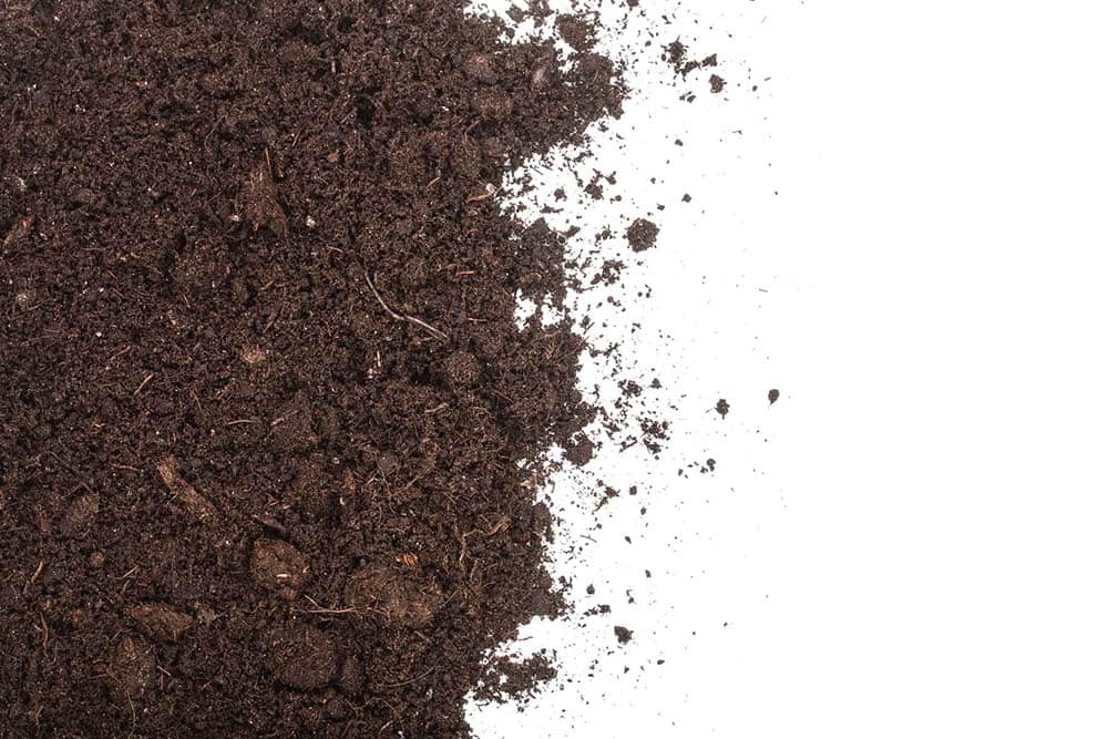 Difference Between Top Soil and Compost