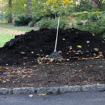 Why Use Compost in Your Spring Vegetable Garden? - Soil Kings - Bulk Landscape Supplies - Featured Image