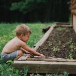What's the Difference Between Soils? - Soil Kings - Bulk Landscape Supplies - Featured Image
