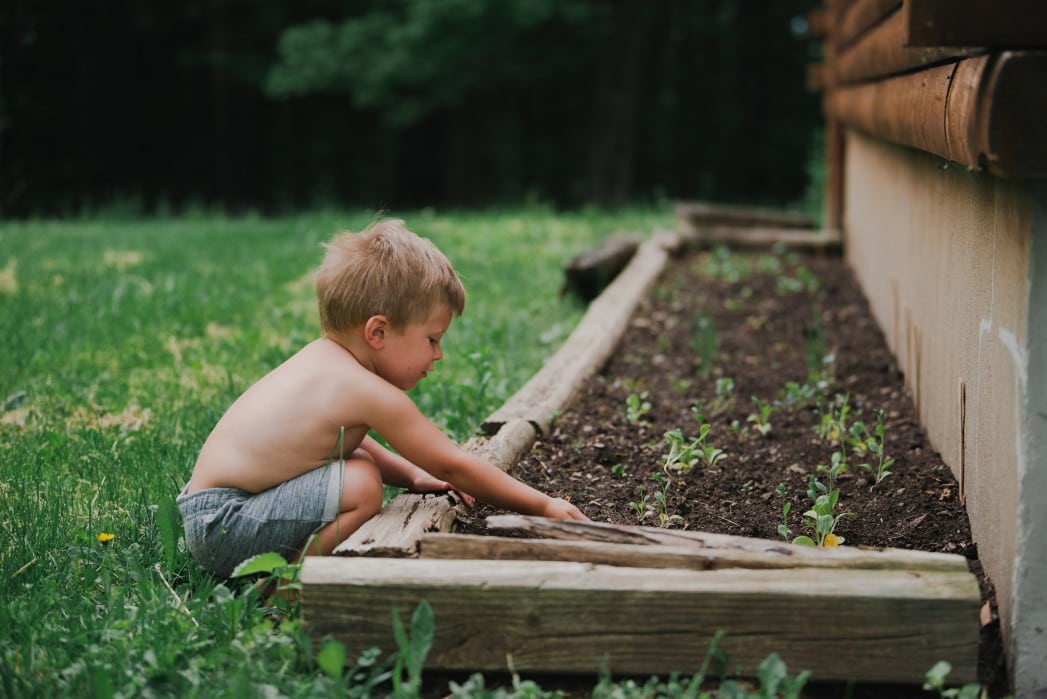 What's the Difference Between Soils? - Soil Kings - Bulk Landscape Supplies - Featured Image