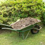 When to Add Compost to Your Perennial Garden