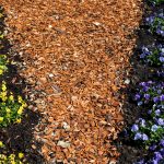 Mulching Tips and Tricks