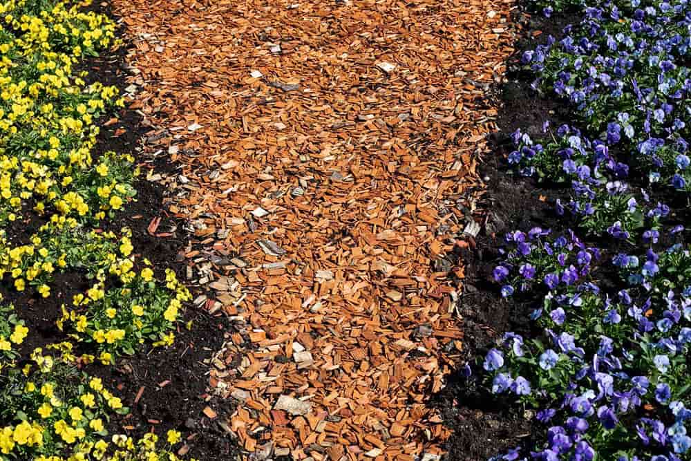 Mulching Tips and Tricks
